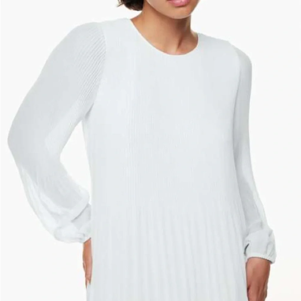 Wilfred Daydreamer Mini Dress - Picture 4 of 5